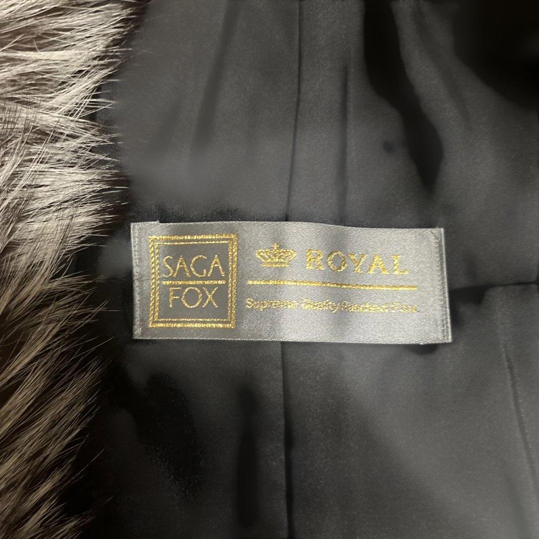 サガ　フォックス　