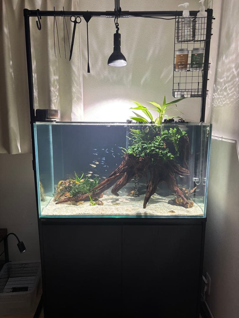 【tkt22】埼玉引取GEX 90cm水槽 水槽台 外部フィルター