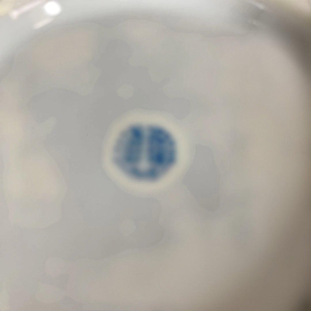 【市川光春】色鍋島の伝統　鍋島藩窯　名窯　御庭焼　市川光春作　錦竹梅菊文　花瓶