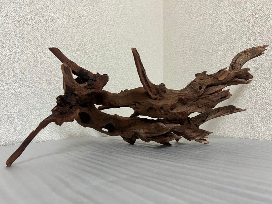 HX-076流木　ホーンウッド　マシンガンウッド　アクアリウム　ブランチウッド