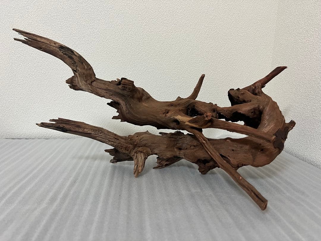 HX-076流木　ホーンウッド　マシンガンウッド　アクアリウム　ブランチウッド