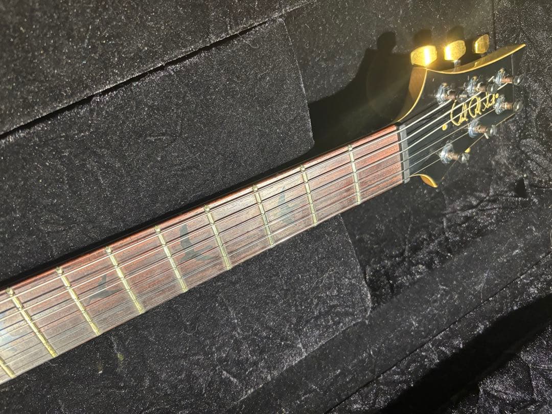 ギター PRS wood library 2010 modern eagle RP PU