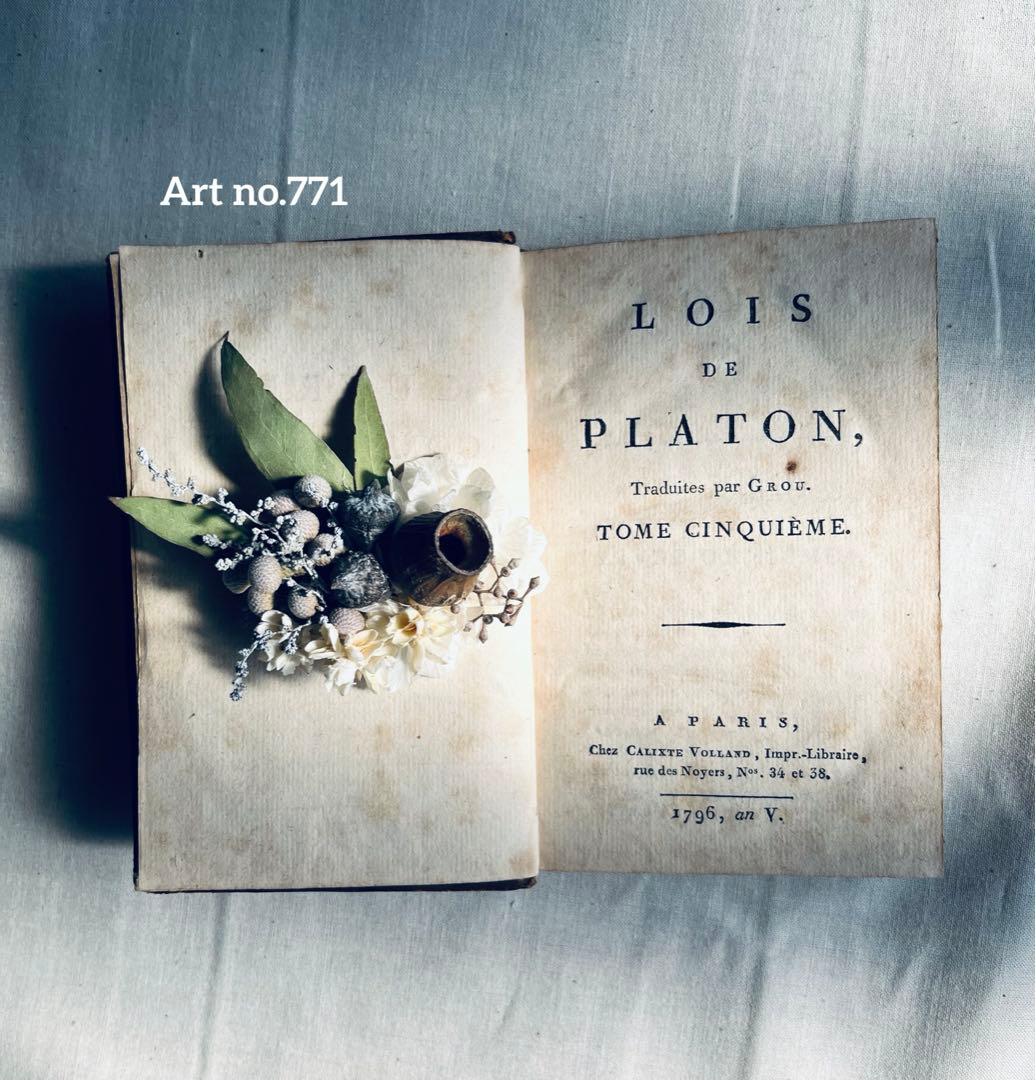 フラワー・ガーデニング corsage no.771