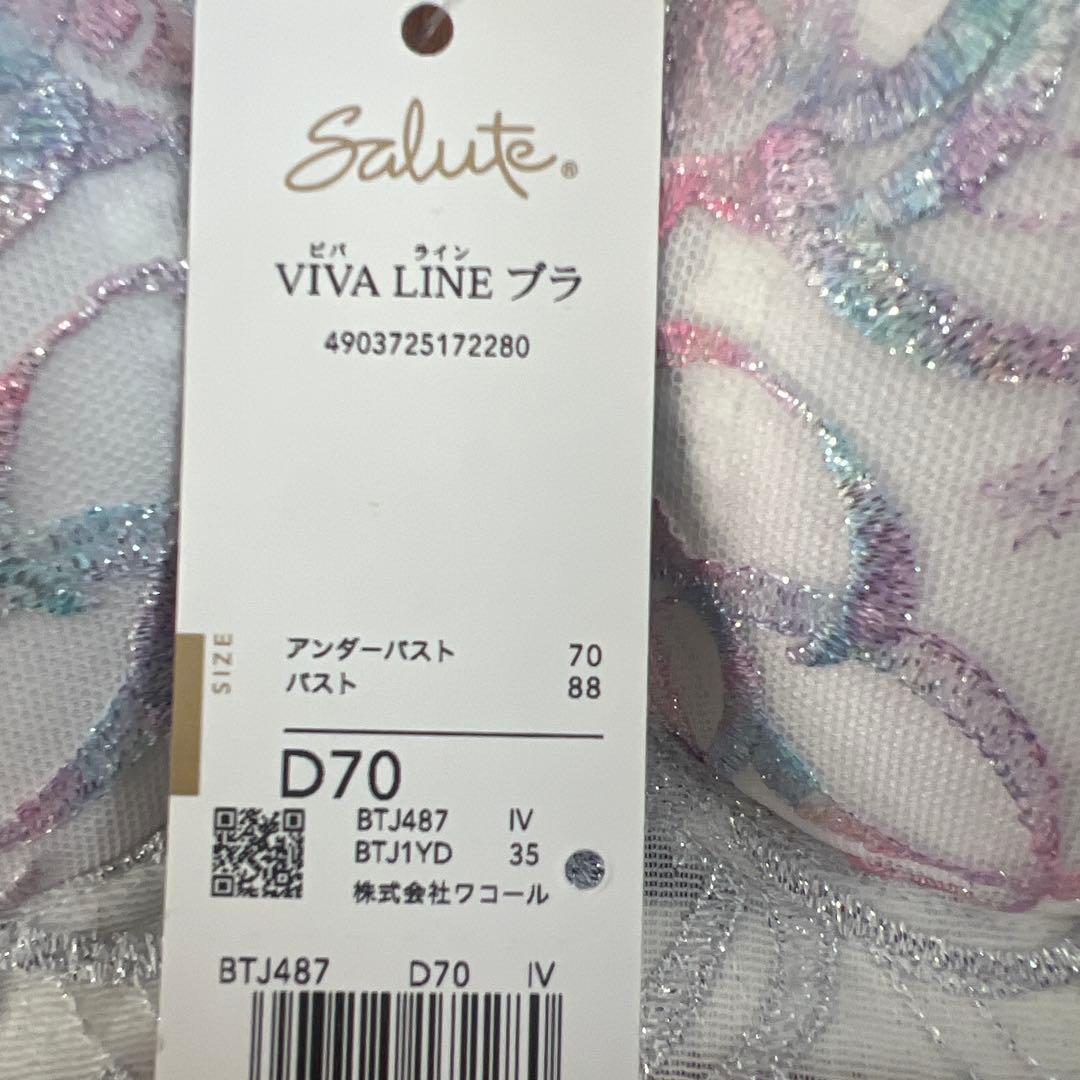 【新品タグ付】Salute 刺繍ブラジャーショーツセット D70