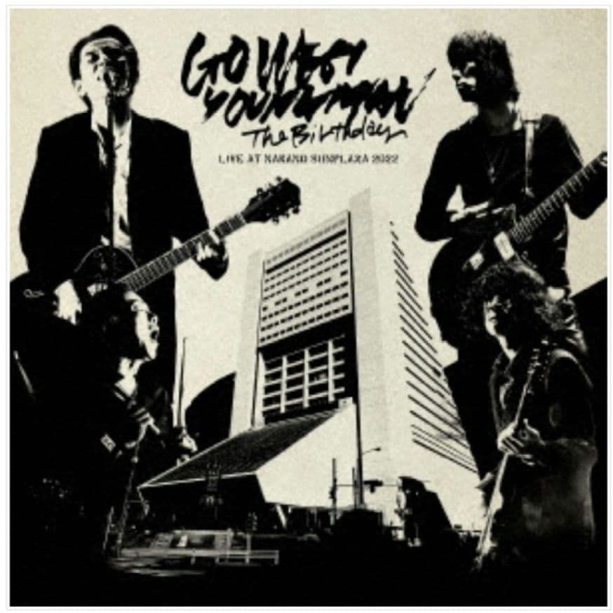 The Birthday / GO WEST, YOUNGMAN・重量盤3LP