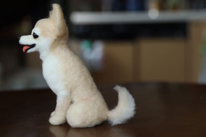 羊毛フェルト　ロングコートチワワ(柴犬カット)