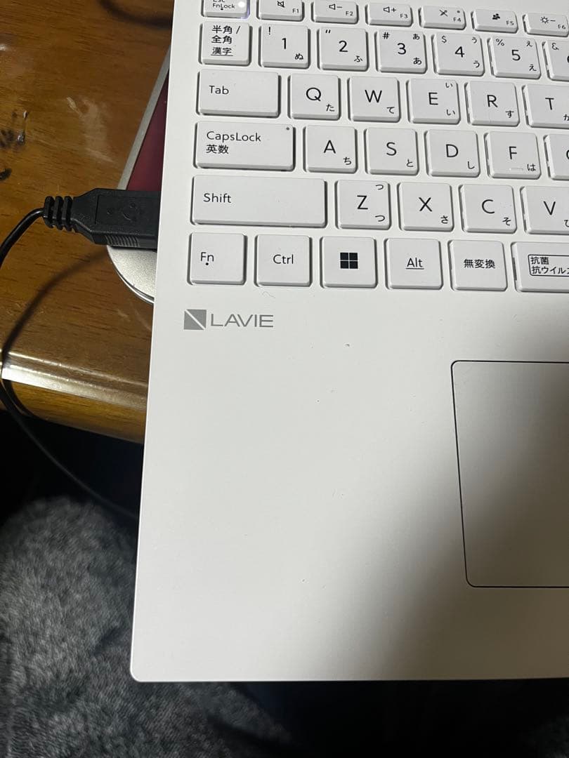 NEC ホワイトノートPC USBポート搭載