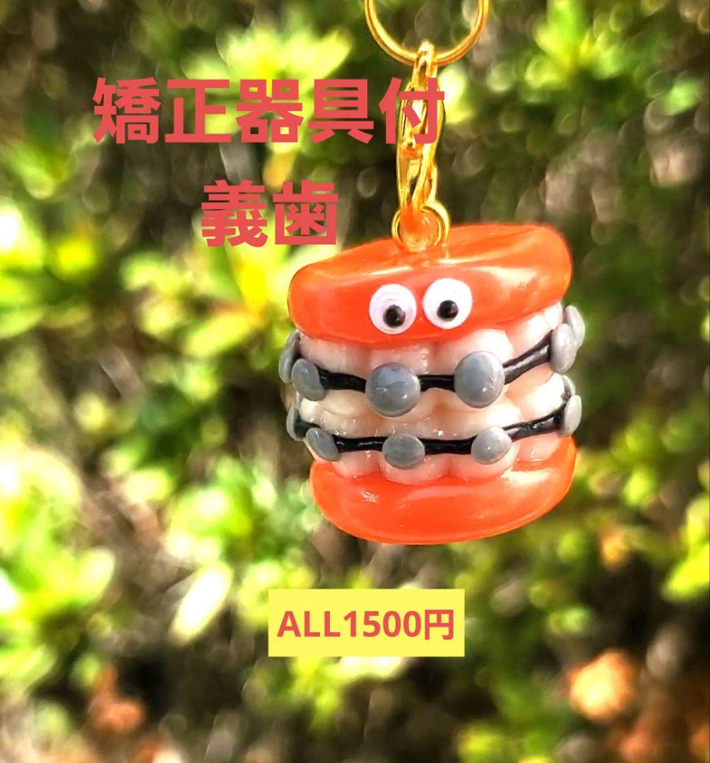 矯正器具　歯　臓器　手作り　キーホルダー　看護　オペ