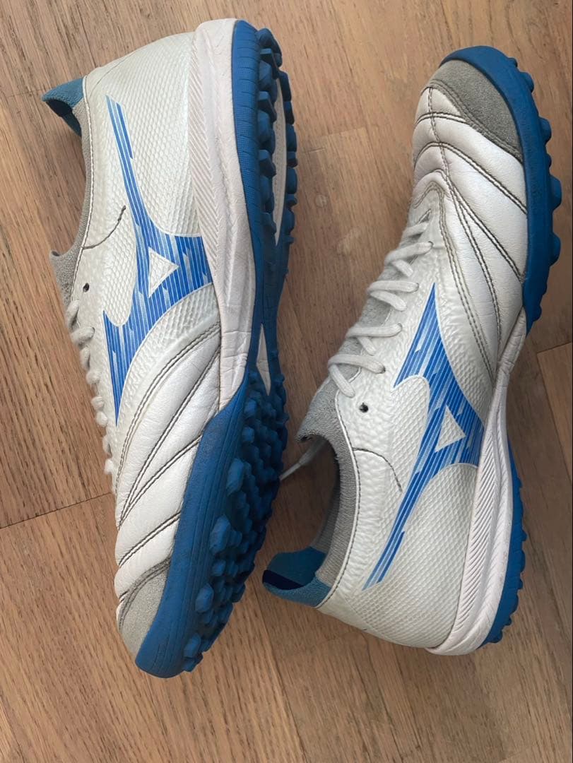 モレリアネオサラβ