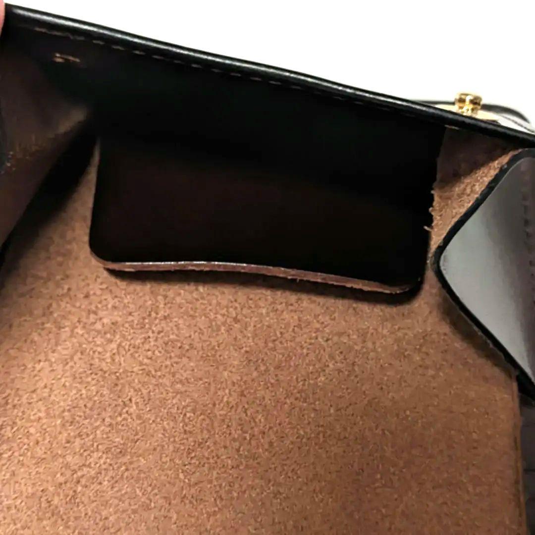 ワイルドスワンズ タング クラシック / サドルプルアップ チョコ