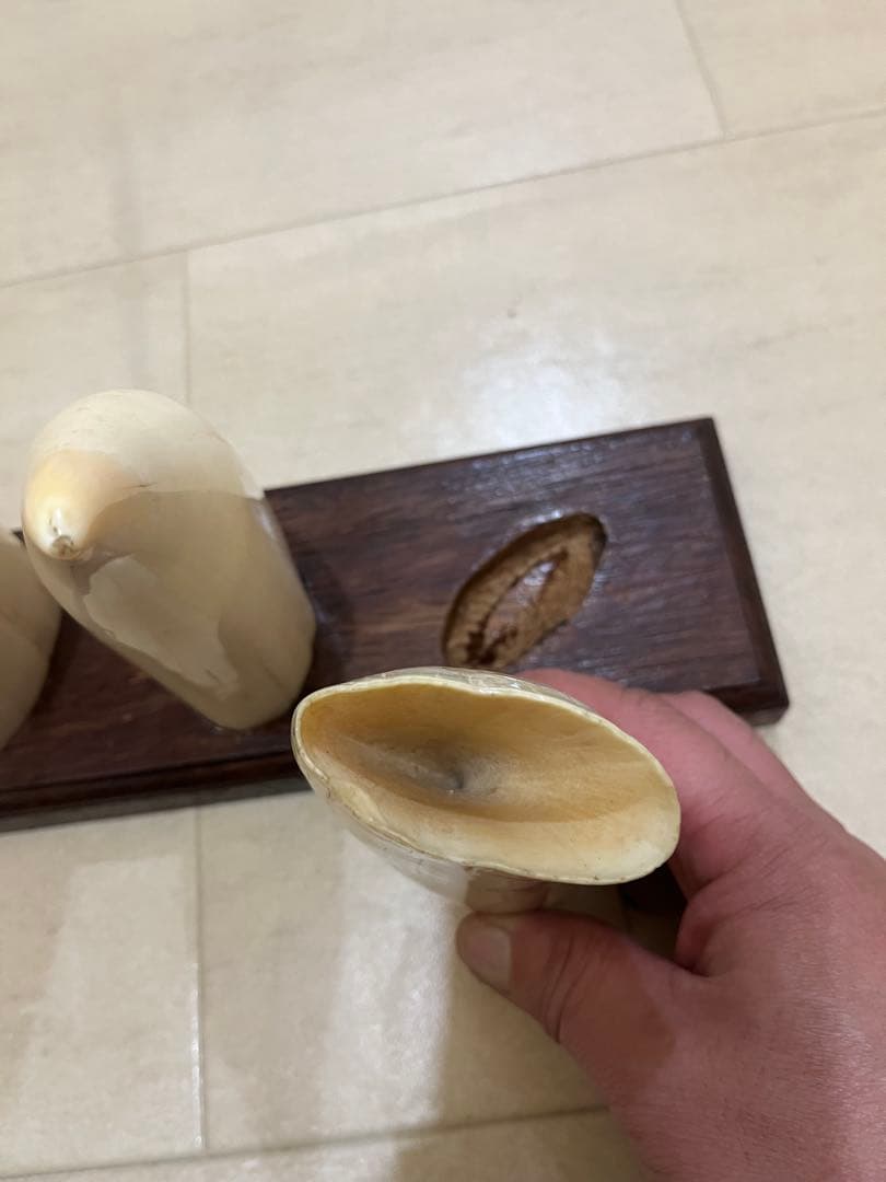 東*研様 希少　マッコウクジラの歯　置物