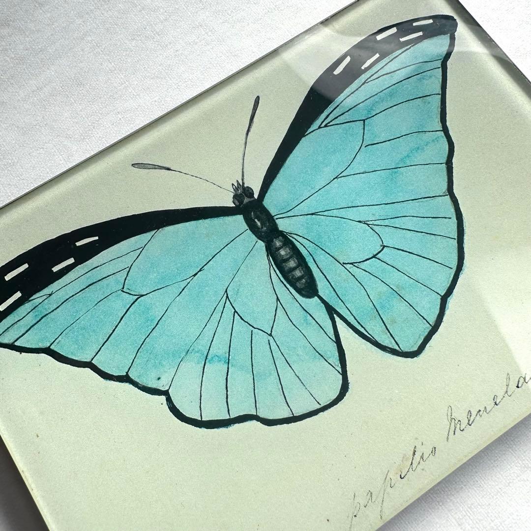 JOHN DERIAN デコパージュプレート Blue Butterfly