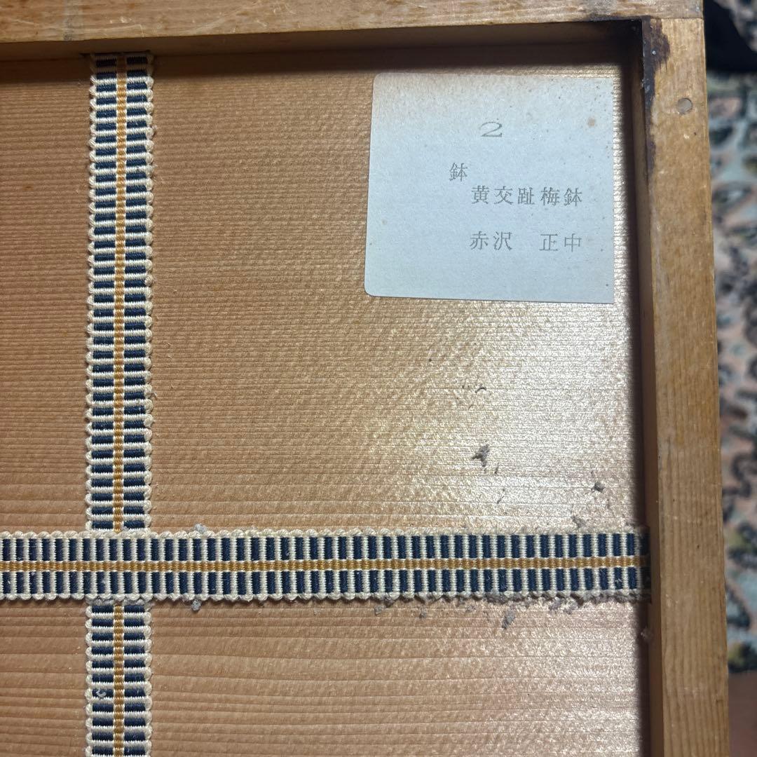 黄交趾 梅鉢 赤沢正中作 共箱