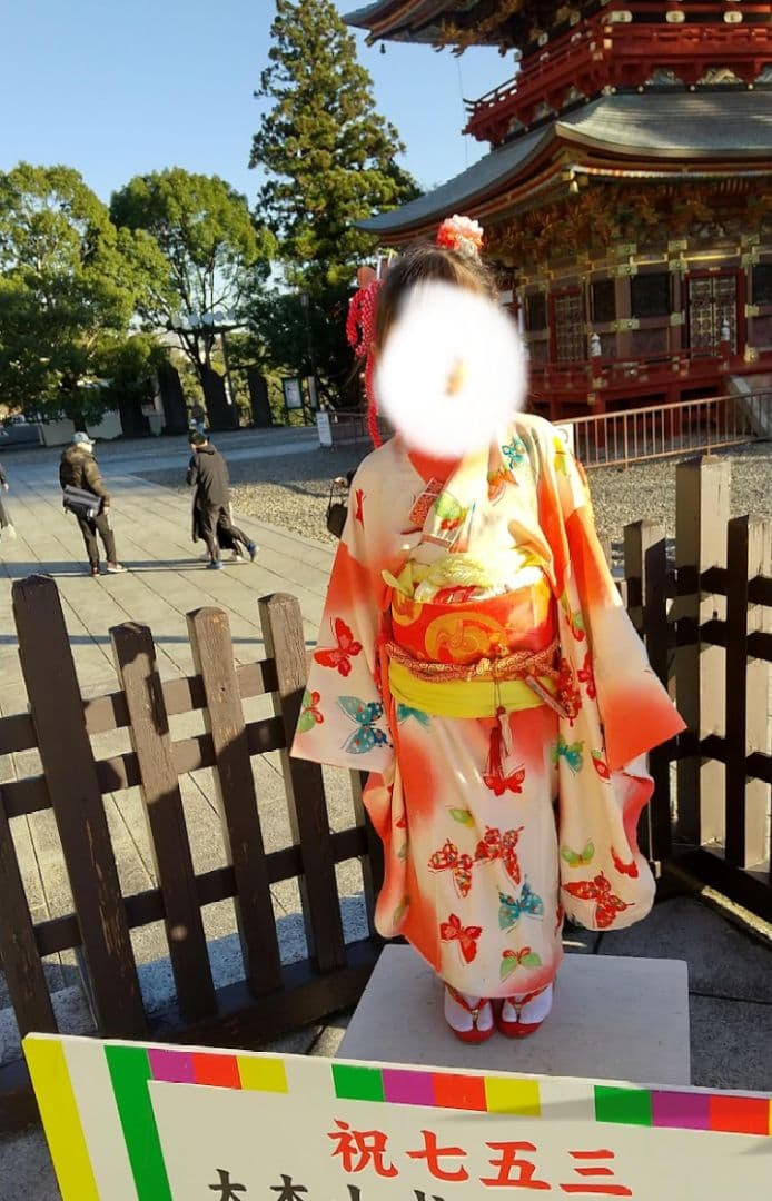 七歳　七五三 着物と着物セット　色赤と黄色