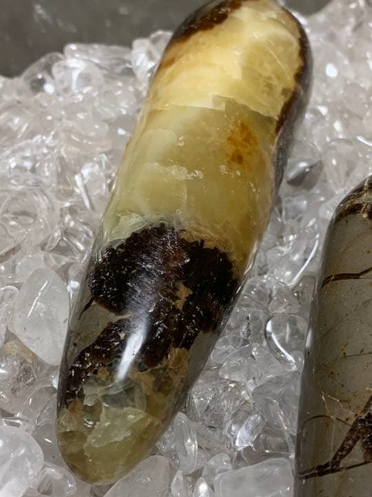 マダガスカル産　セプタリアン