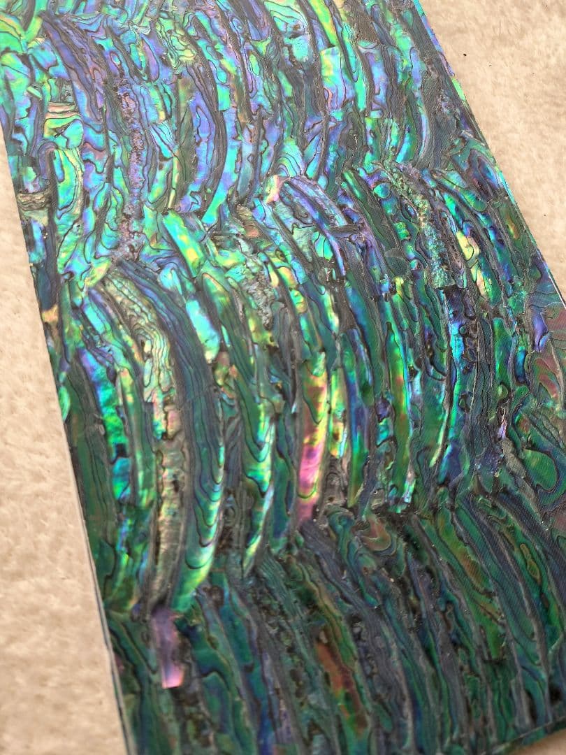 アワビシート　10枚セット　メキシコブラック