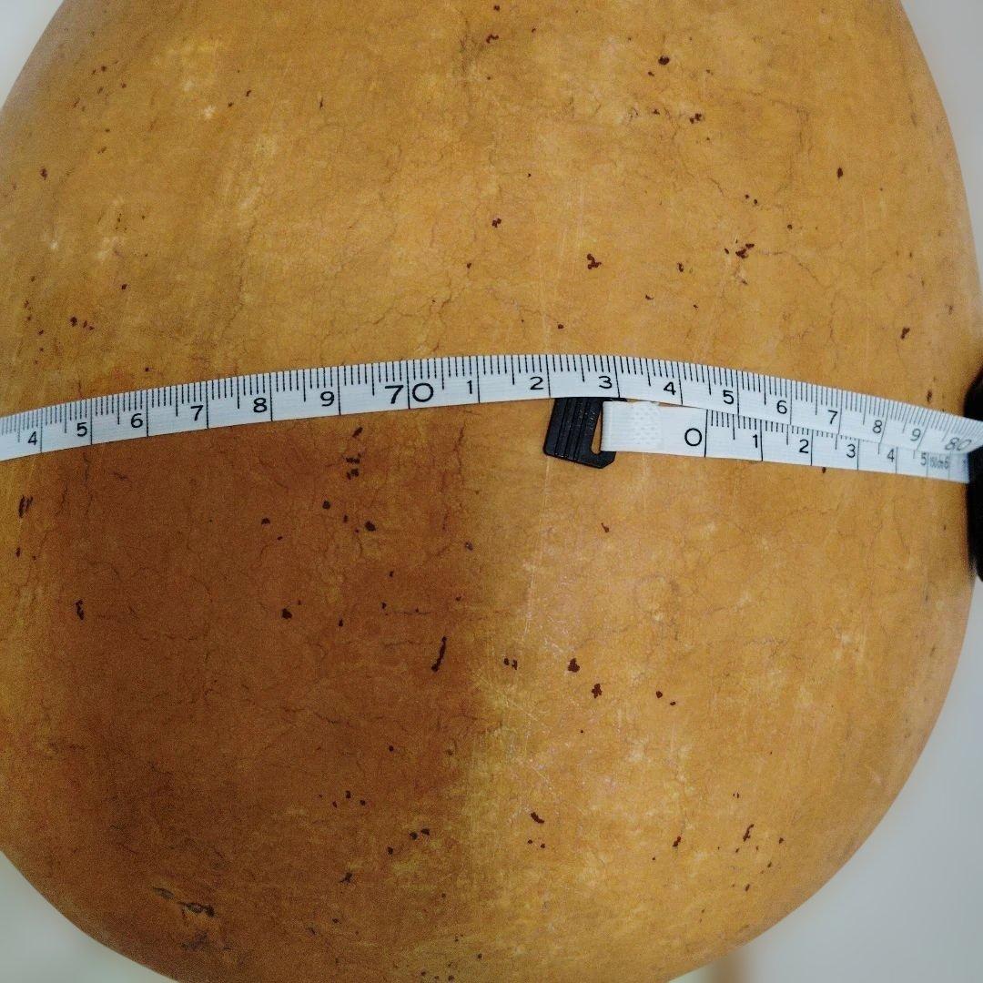 自立・イプヘケ高さ約50センチ①