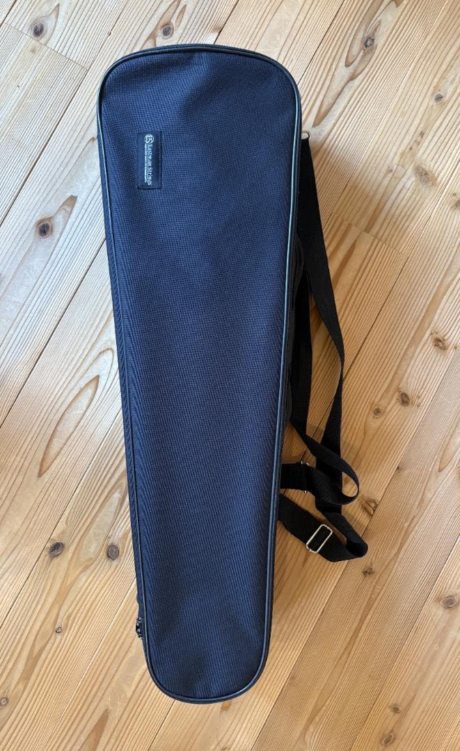 ヴァイオリン Eastman Strings VL80 4/4 2021年