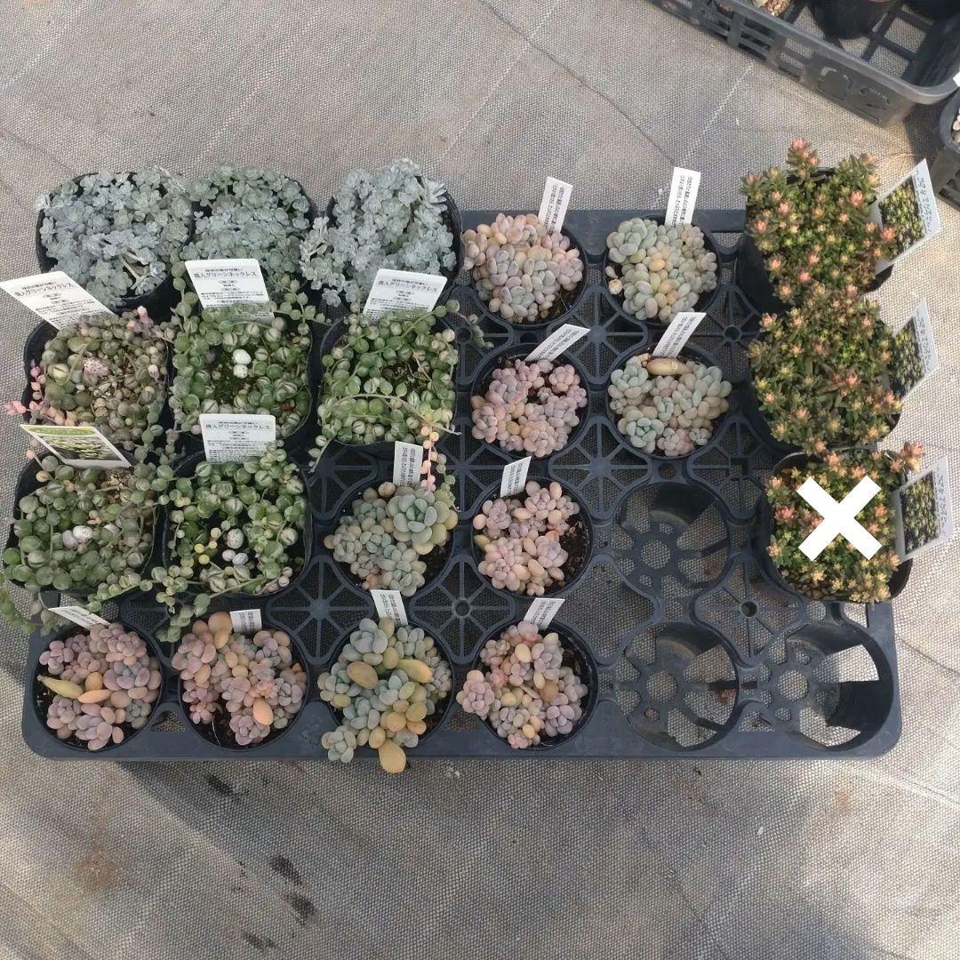 choco...∞さん専用