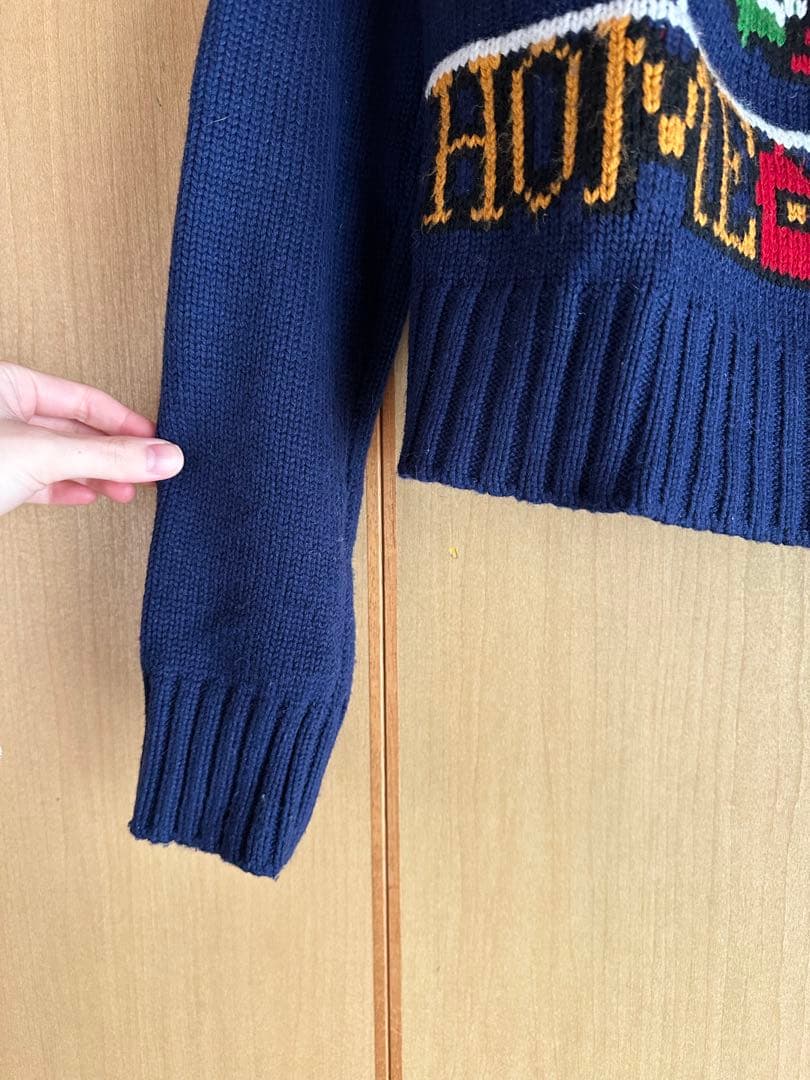 ZARA ホームアローンニット