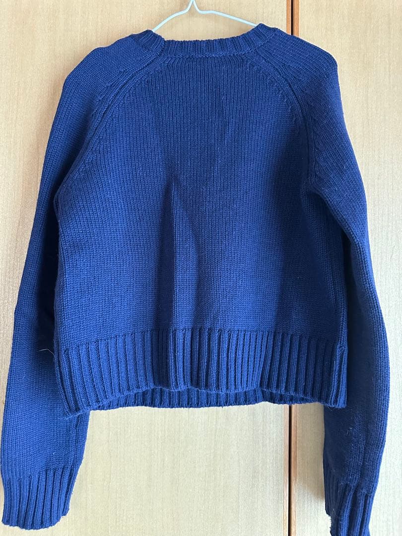 ZARA ホームアローンニット