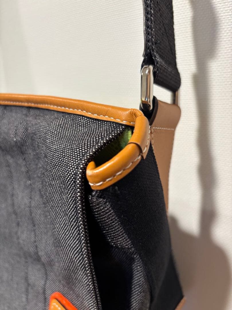 【美品】ロエベ　メッセンジャーバッグ　アイ　ネイチャー　デニム　アナグラム