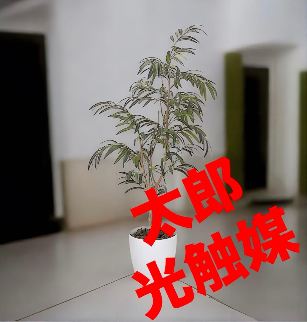 光触媒　人工観葉植物　ウォールグリーン　フェイクグリーン　ショウナンゴム