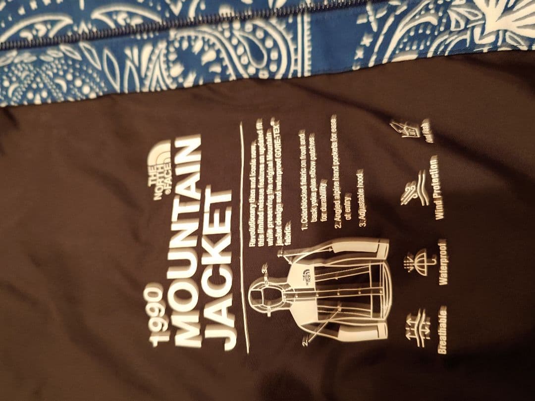 ノースフェイス　ゴアテックス　シュプリーム　 国内未発売モデル　ペイズリー