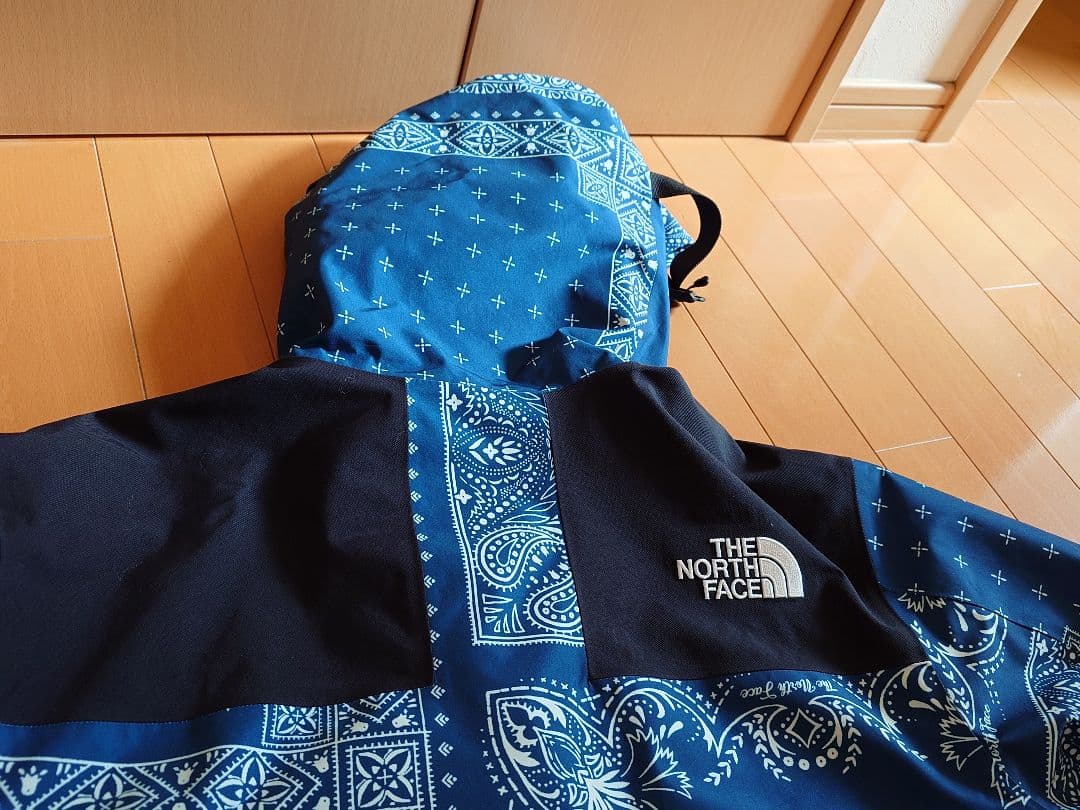 ノースフェイス　ゴアテックス　シュプリーム　 国内未発売モデル　ペイズリー