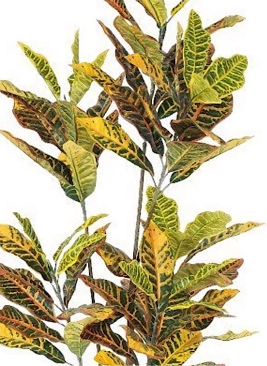 光触媒　人工観葉植物　ウォールグリーン　フェイクグリーン　クロトン155