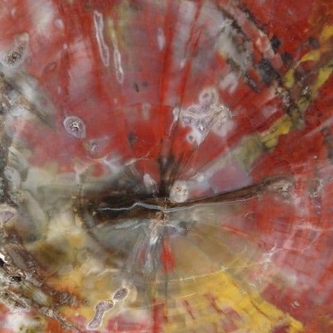 アリゾナ産 珪化木 木化石 鑑賞石 原石 パワーストーン 宝石 オブジェ