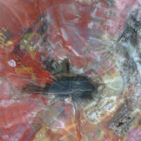 アリゾナ産 珪化木 木化石 鑑賞石 原石 パワーストーン 宝石 オブジェ