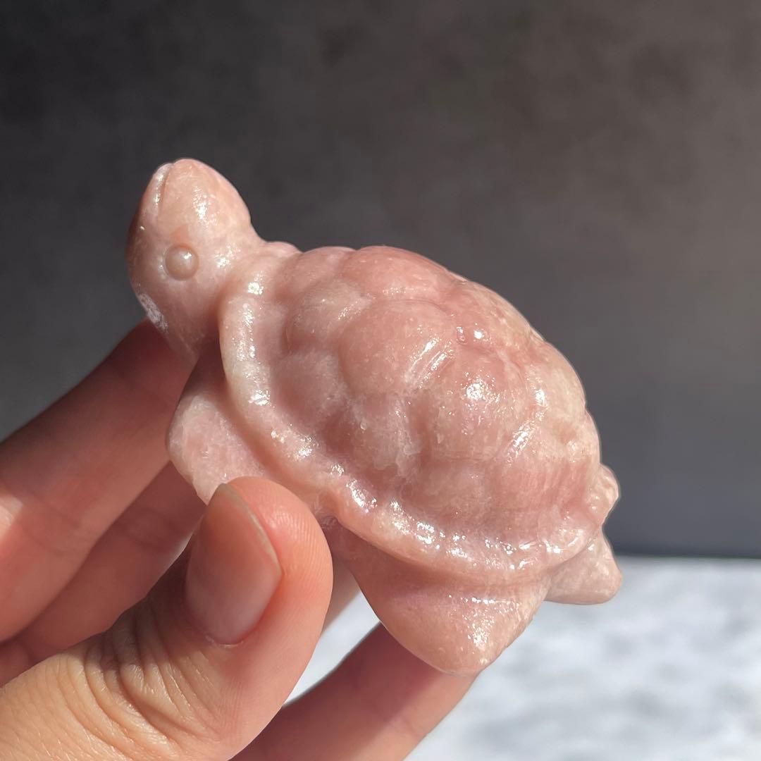 ピンク オパール 亀