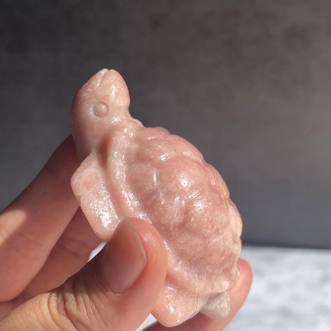 ピンク オパール 亀