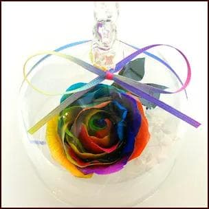 【高級プリザーブドフラワー】オランダ輸入レインボーローズのウサギドーム