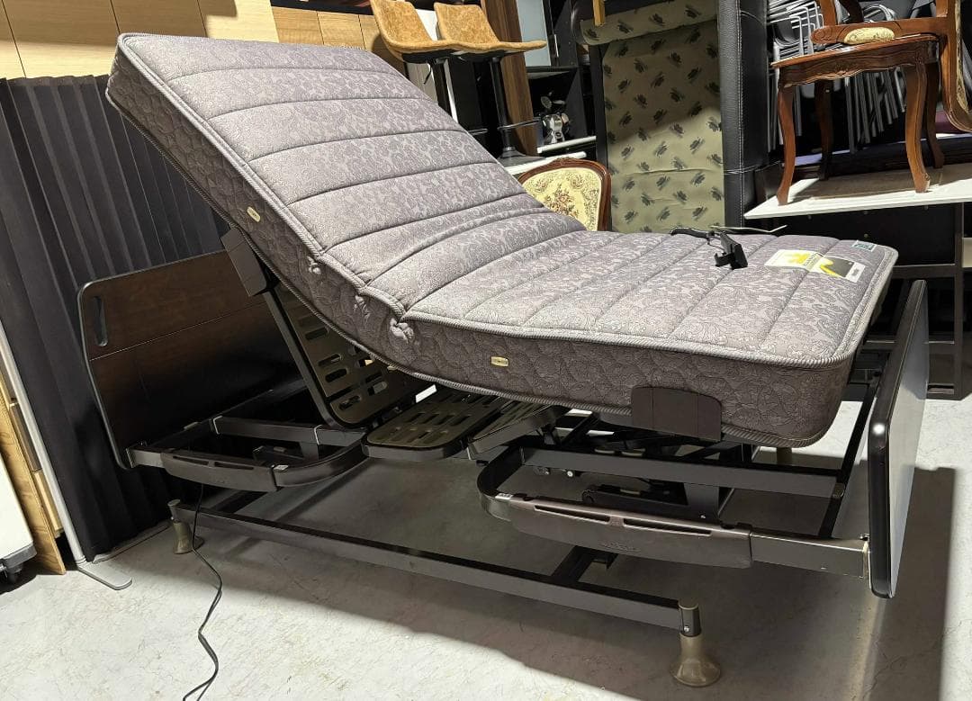 ジワタネホ  France Bed電動ベッドレステックス01F 3モーター