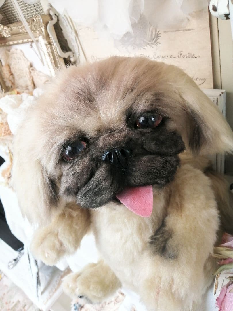 RIKUMU様♡オーダー♡ペキニーズ♡ワンちゃん♡犬♡アートドール♡ぬいぐるみ