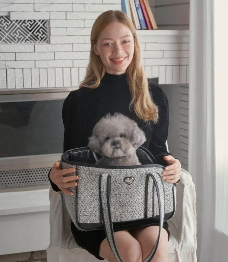 犬用キャリーバッグ　韓国　little comfo インナーメッシュ付き