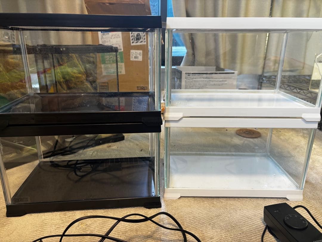 爬虫類飼育ケージ　セット　初心者セット