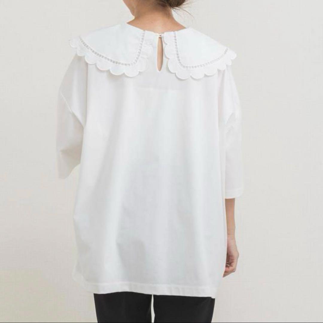 【美品】yori スカラップカラーカットソー ホワイト