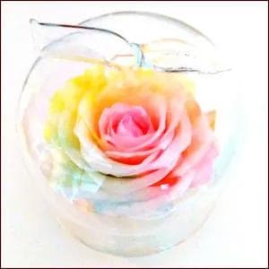 【高級プリザーブドフラワー】パステルレインボーローズ　りんごガラスドーム