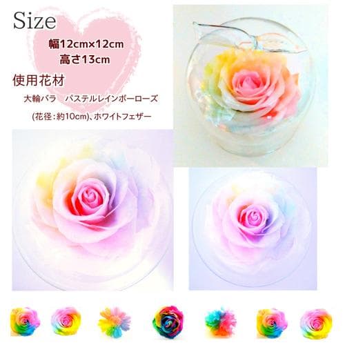 【高級プリザーブドフラワー】パステルレインボーローズ　りんごガラスドーム