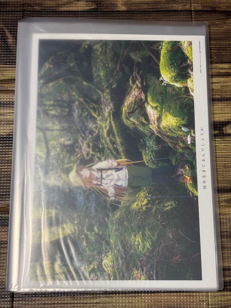 ドロー！ドロー！　お隣の天使様　A3マット加工ポスター　24枚セット