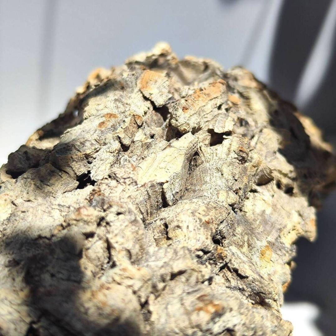 C051 ポルトガル産 キャノンコルク コルク樹皮 コルク板　バージンコルク