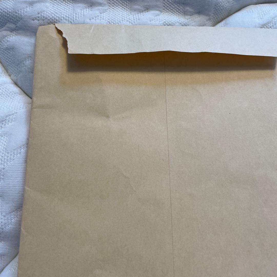 美品⭐︎マニフレックス　VIROBLOCK トッパー　正規品　シングル