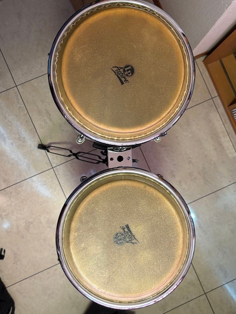 コンガ11インチ　LP Aspire サンタナモデル　スタンド付き