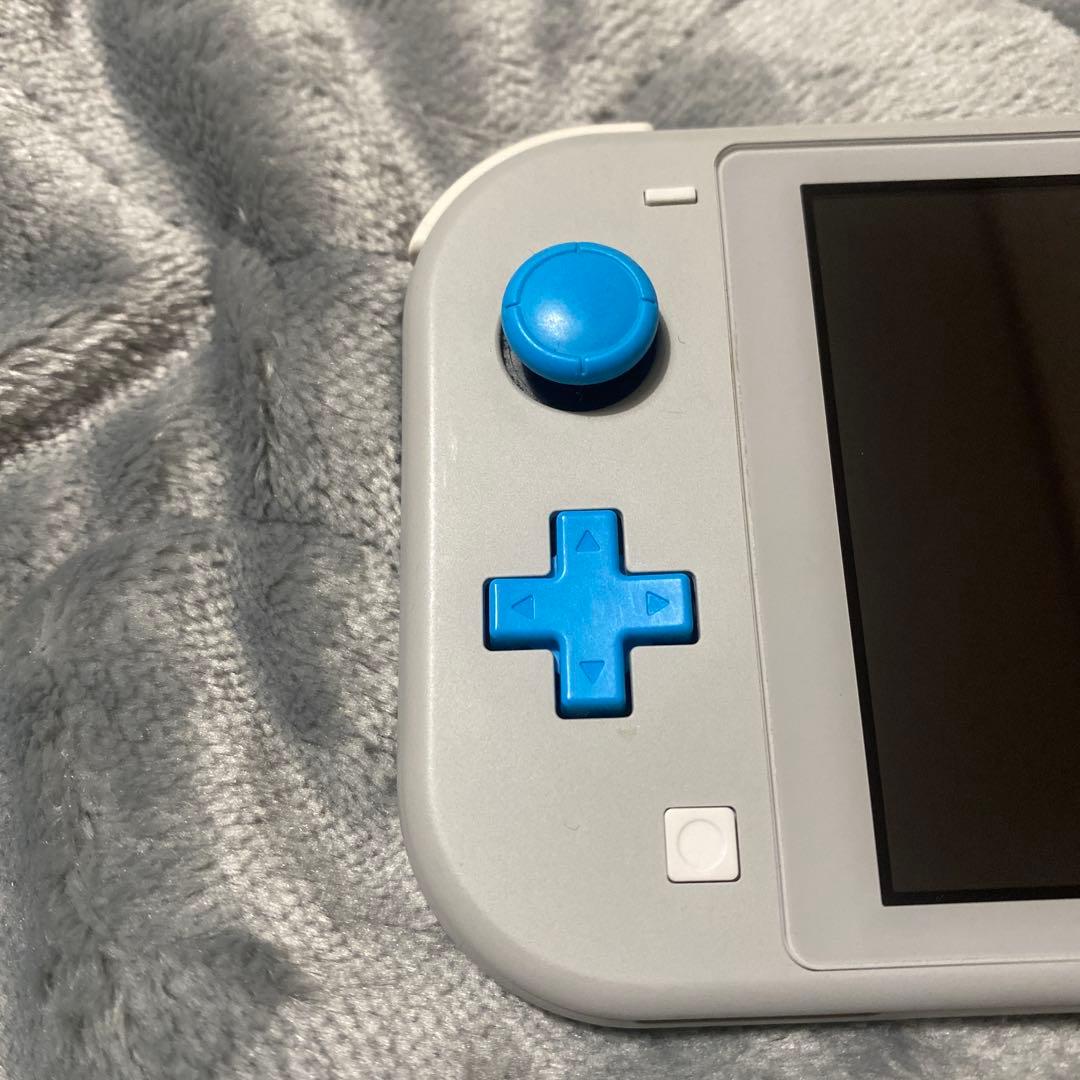 Nintendo Switch Lite ザシアン・ザマゼンタ本体 テッド