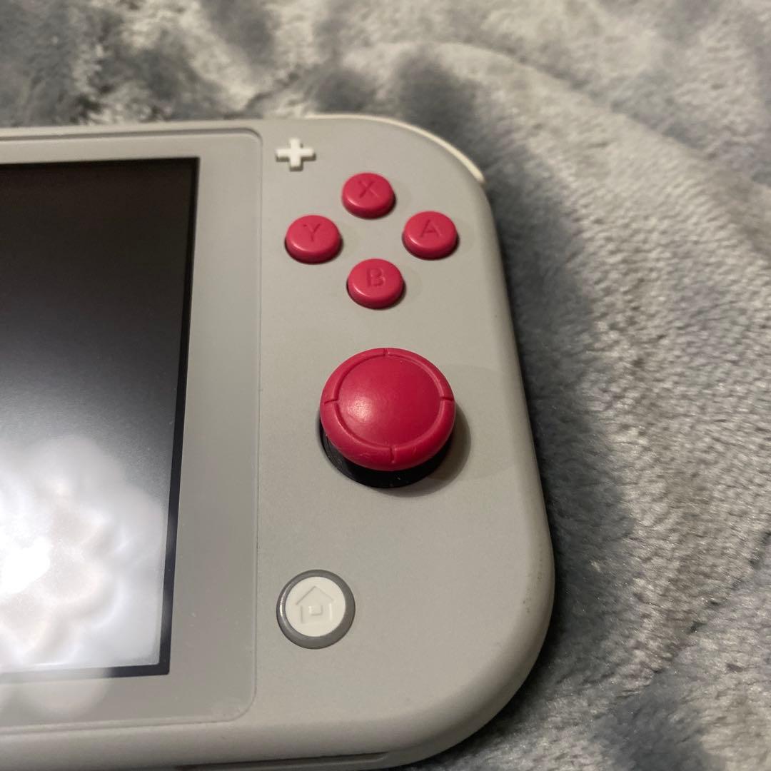Nintendo Switch Lite ザシアン・ザマゼンタ本体 テッド