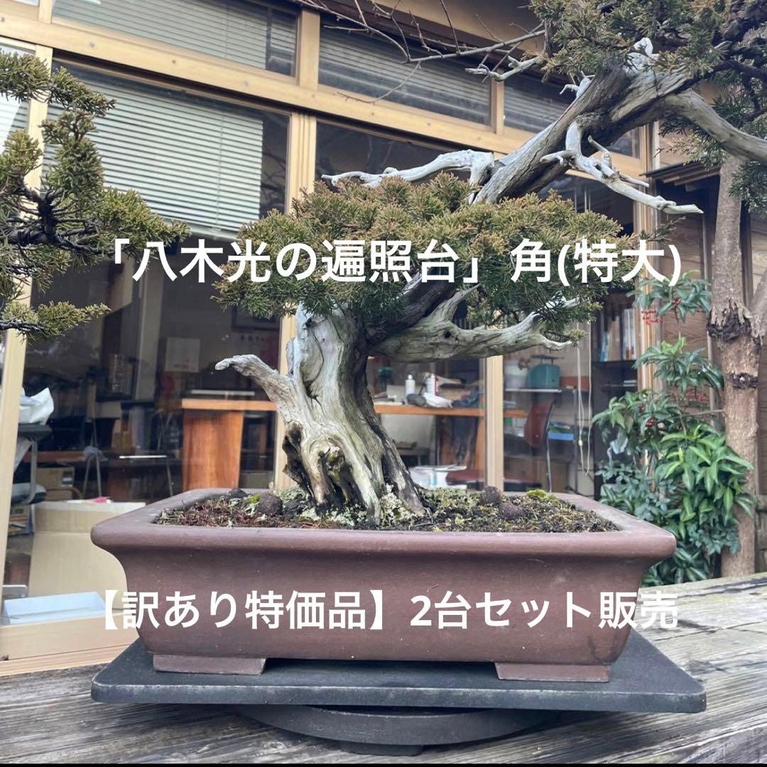 【訳あり特価A】盆栽回転台2台 「八木光の遍照台」角(特大)50×36【送料込】