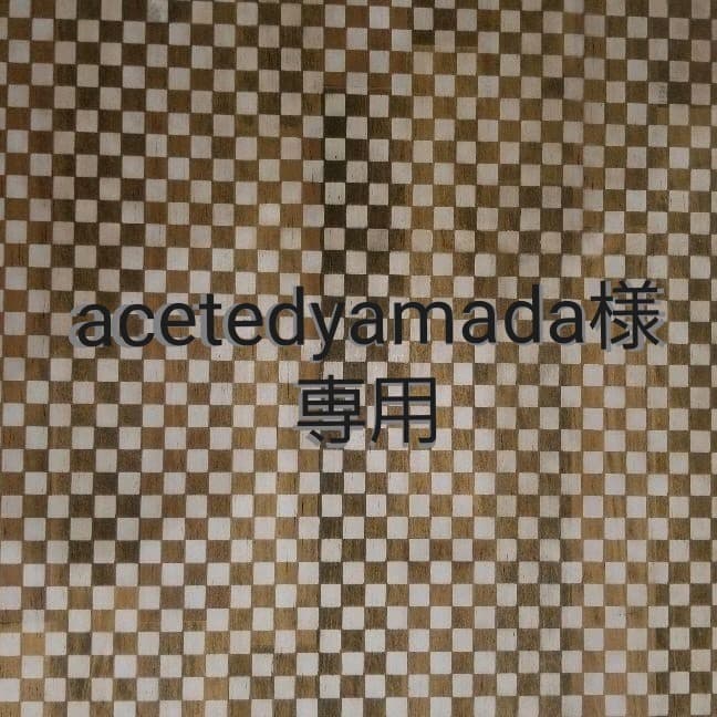 その他観葉植物 acetedyamada